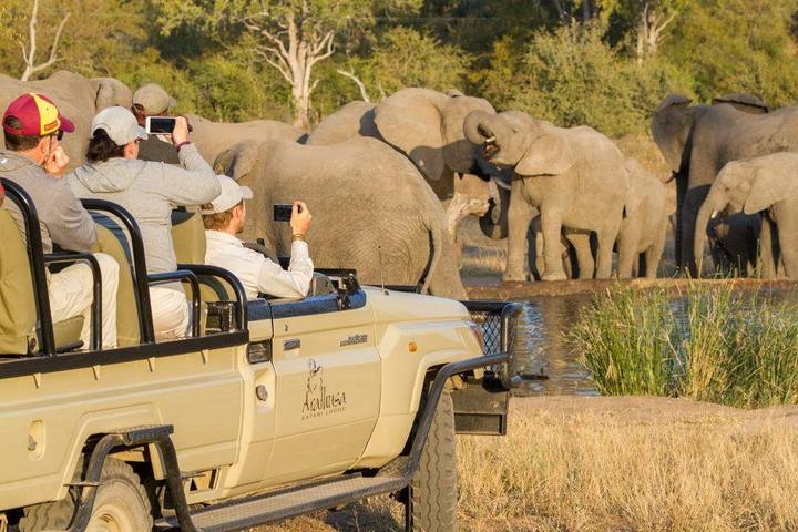 Elephants game drive, Arathusa Safari Lodge