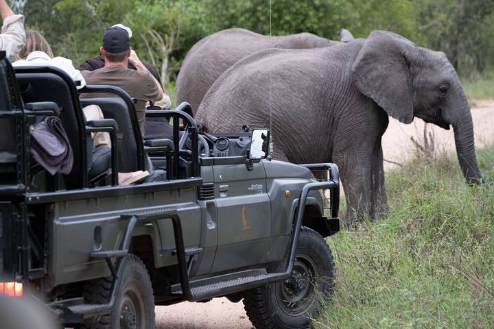 Elephants electric vehicle, Cheetah Plains