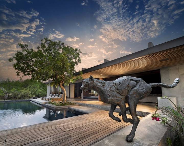 Mapogo pool deck, Cheetah Plains