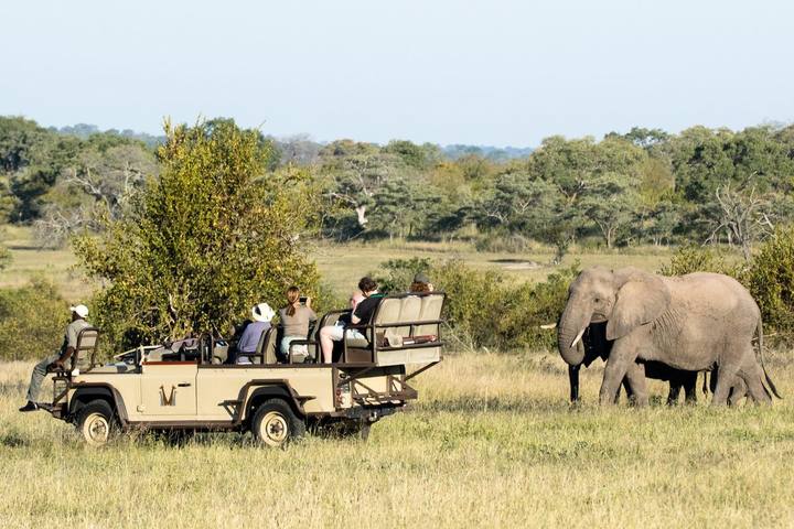Elephant game drive, Chitwa Chitwa