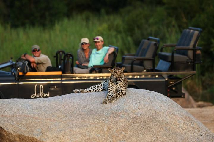 Leopard rock, Dulini