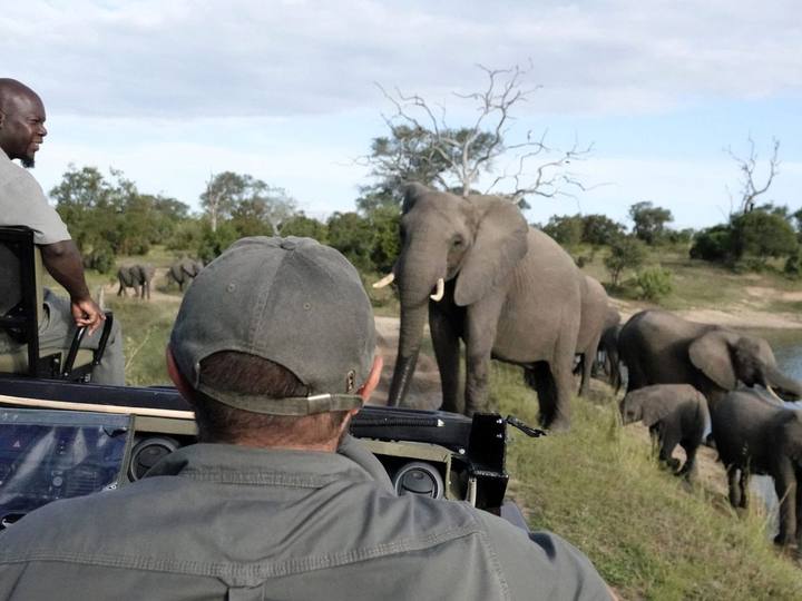 Elephants, Idube Game Reserve