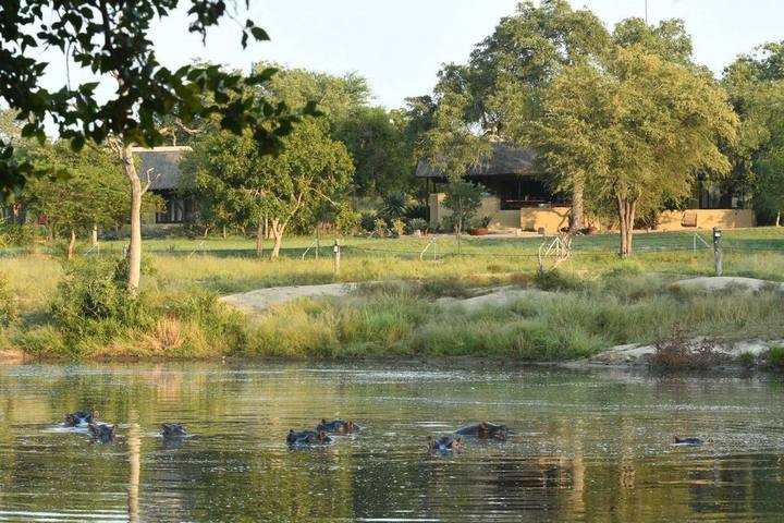 Hippos, Jaci's Sabi House