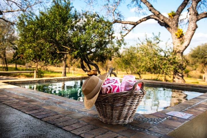Pool, Jaci's Sabi House