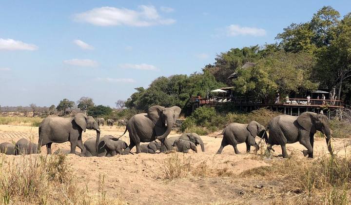 Elephants lodge, Jock Safari Lodge