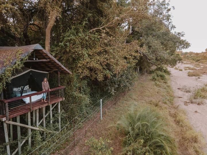 Treehouse, Jock Safari Lodge