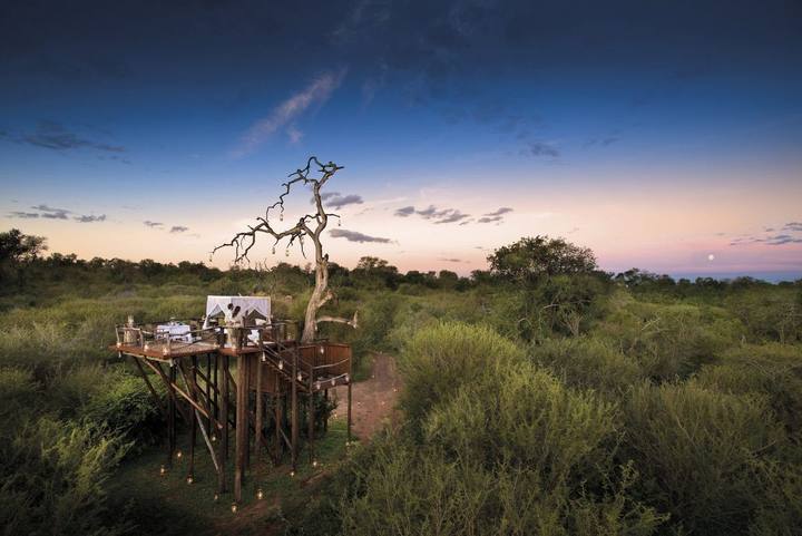 Chalkley treehouse, Lion Sands