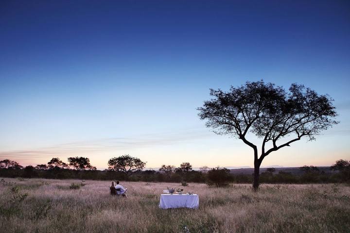 Bush dinner, Londolozi