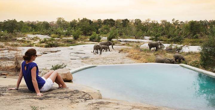 Granite Suites pool elephants, Londolozi