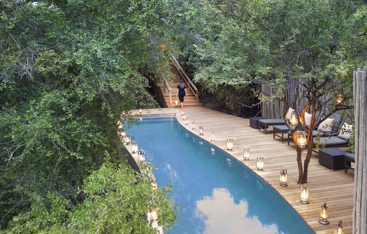 Pioneer Camp lap pool, Londolozi