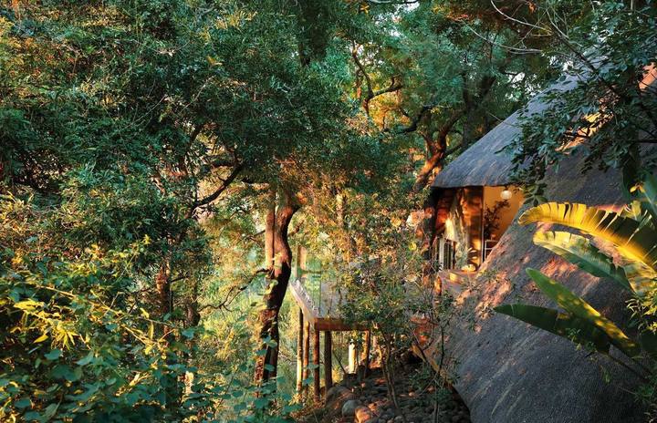 Tree Camp camp at dusk, Londolozi