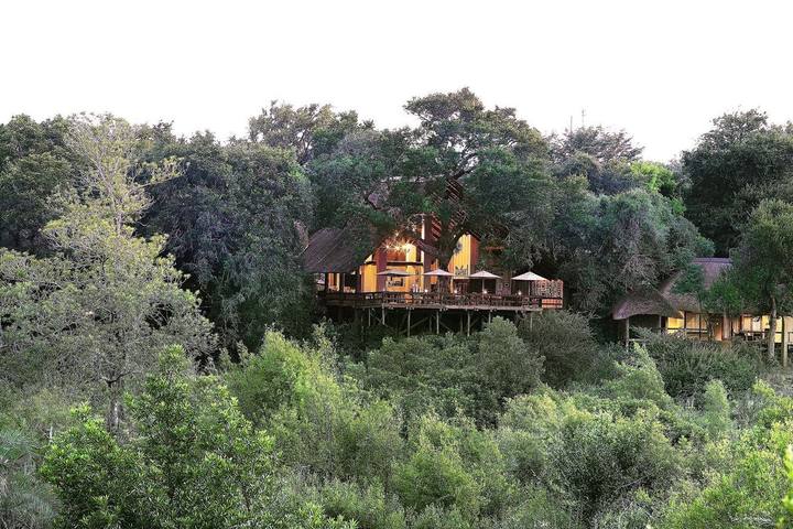 Varty Camp camp, Londolozi