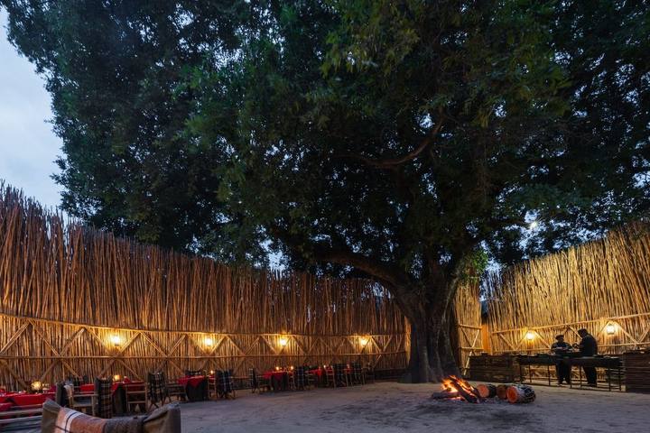 Camp boma, MalaMala