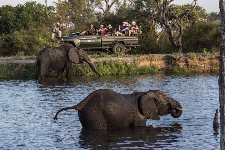 Elephants water, Sabi Sabi