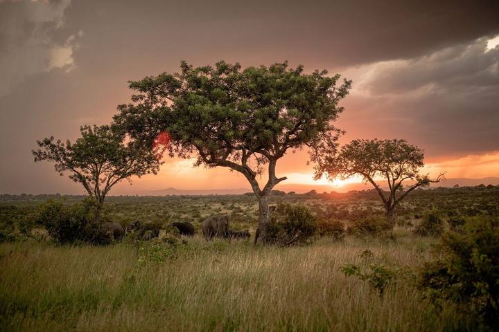 At sunset, Savanna Private Game Reserve