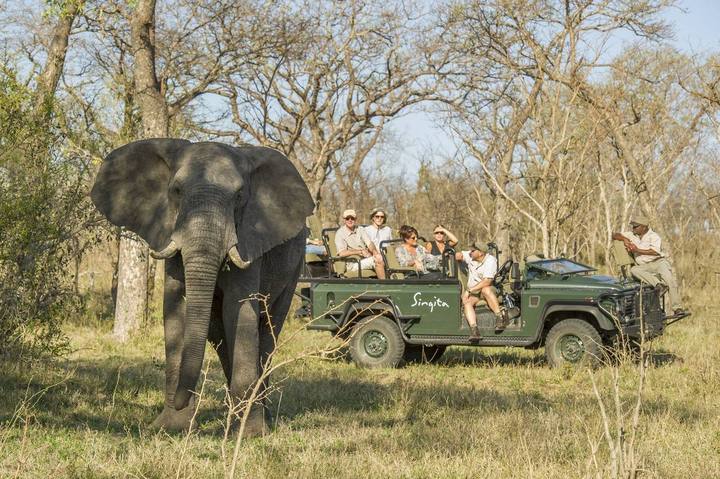 Elephant vehicle, Singita Sabi Sand