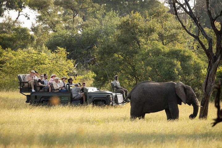 Elephant vehicle, Umkumbe